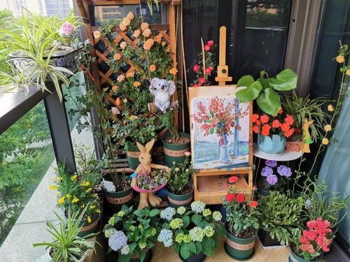 余杭花市熱度回升,各種花卉最新市場價如何 速戳