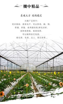室內種植棚 新型溫室大棚 聯動養豬棚 實力工廠