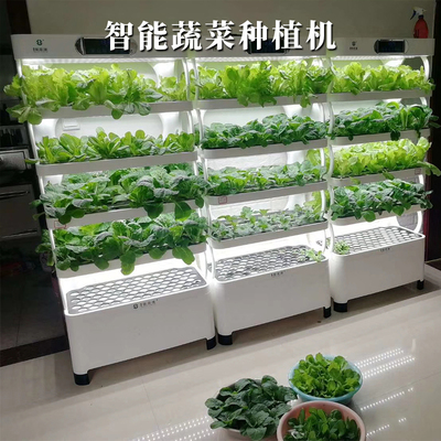 植物生長燈類別水培機水排行榜:24款優良水培機水產品推薦
