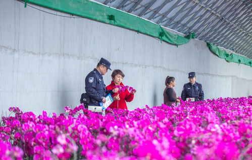 新疆伊犁 民警深入大棚話平安