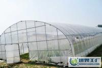 花卉種植[供應(yīng)]_花卉種植價格_花卉種植廠家_世界工廠網(wǎng)產(chǎn)品信息庫