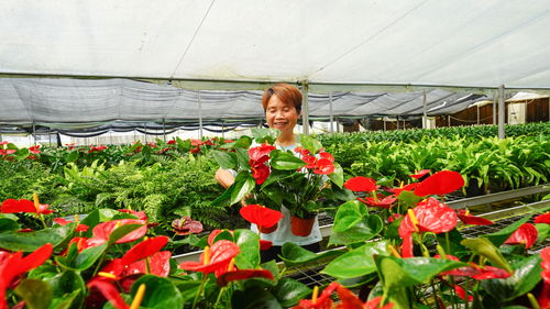 美麗 產(chǎn)業(yè)助增收