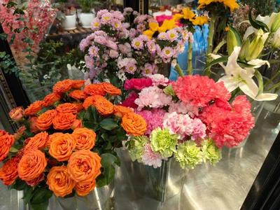 年銷花卉為春節(jié)"添彩兒"