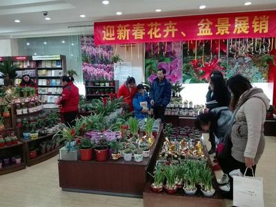 行業(yè)之聲