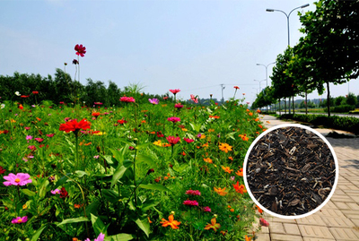 野花組合花卉種植綠化養(yǎng)護(hù)方法