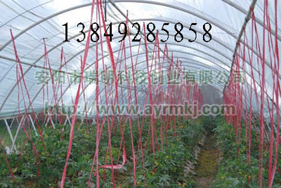 供應新鄉花卉大棚