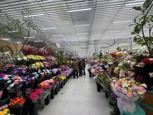 北京高質量發展 城區就有你向往的 曠野 北京打造花園之都