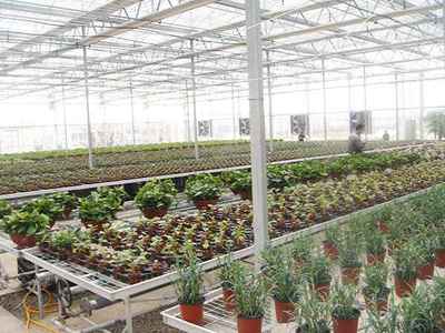 花卉種植出售產品大圖