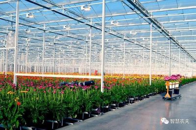 技術解讀┃智能溫室花卉種植技術