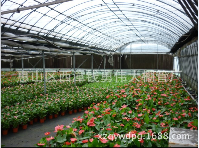【廠家直銷 產(chǎn)品質量好價格便宜盆栽種植大棚 花卉大棚】價.