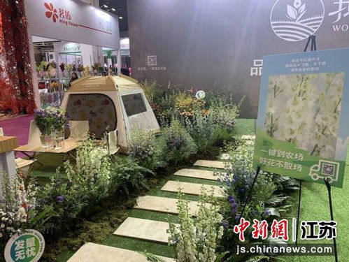 2023中花大會在無錫啟幕 匯集千余種花卉產(chǎn)品