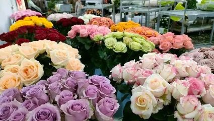 王鵬程:“花花世界”中探尋致富路